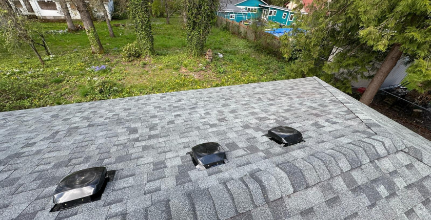 Mold Remediation Services from DRS Renovation Protect Homes and Health